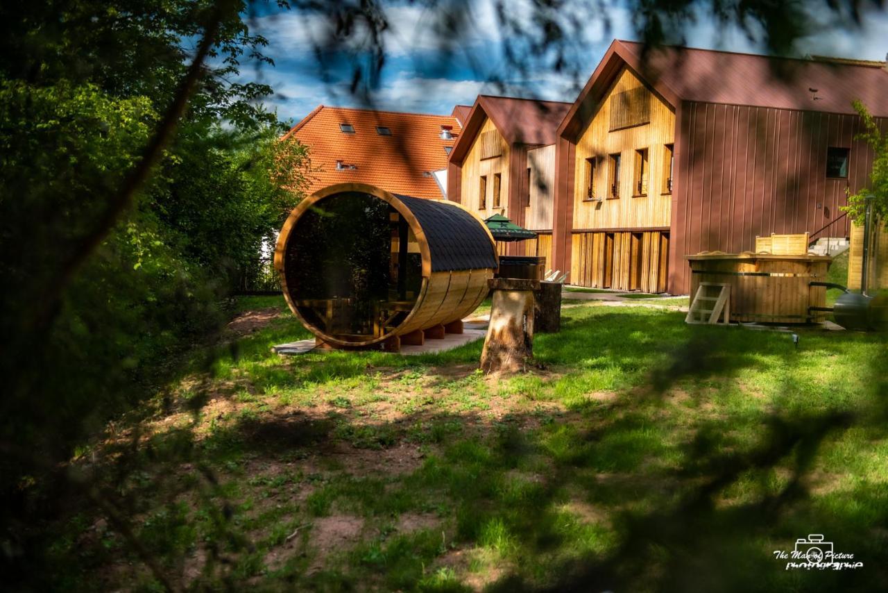 Logis Hotel Altitude Et Spa Pierre-Percée Exteriör bild